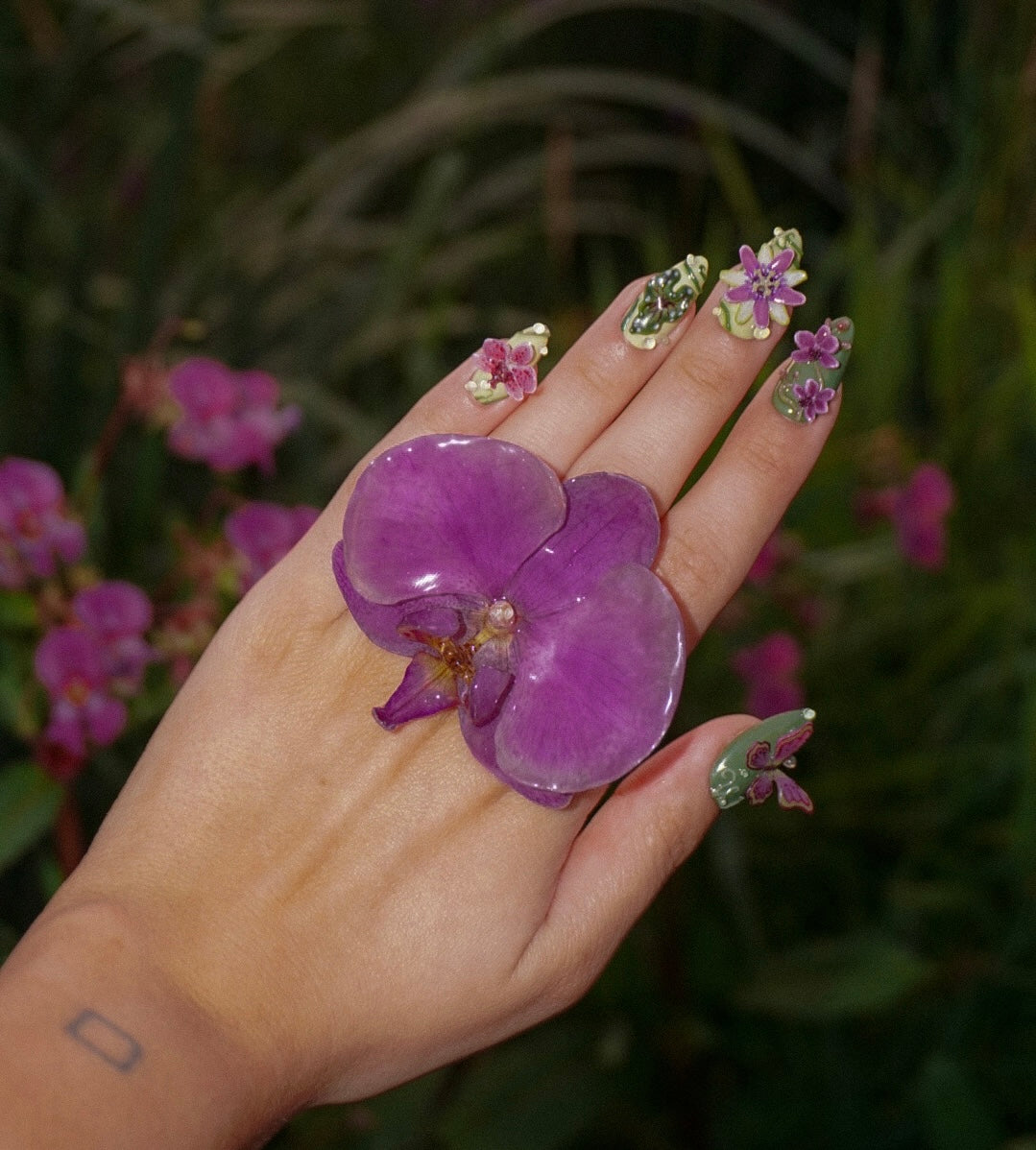 Plum Wine
