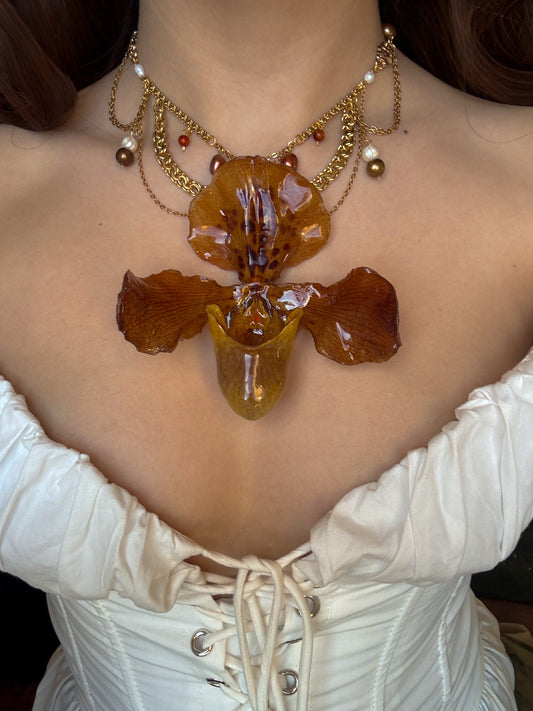 The Jester Who Stole the Crown