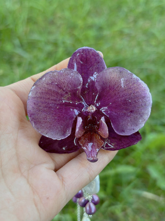 Veil of the Elder Bloom