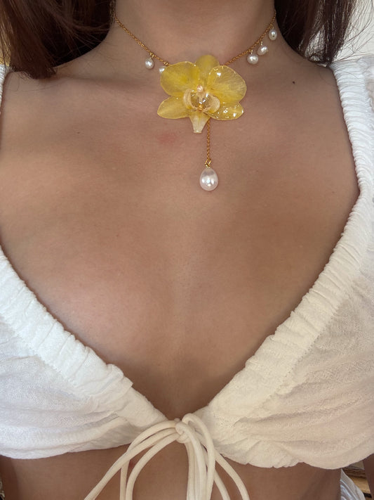 Solea