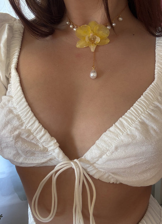 Solea